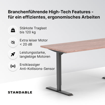 Standable Desk 200x90 cm, Elektrisch höhenverstellbar (70-120 cm), 4 Speicherstufen, Ergonomisch