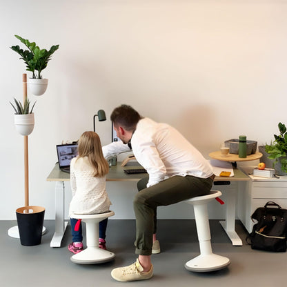 ASSMANN Pitino Curved 140x80 cm, Elektrisch höhenverstellbar, Anthrazit/Weiß, 5 Jahre Garantie