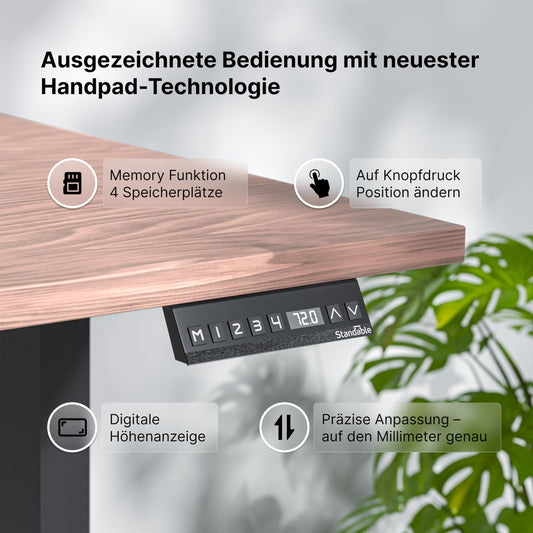 Standable Desk 200x90 cm, Elektrisch höhenverstellbar (70-120 cm), 4 Speicherstufen, Ergonomisch